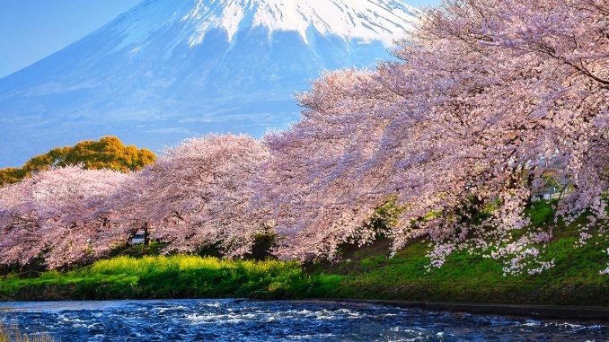 EN_GrandPrixFAQ_Shizuoka_Header